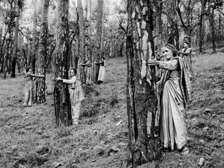 Mujeres del movimiento Chipko abrazando los árboles en un bosque de montaña